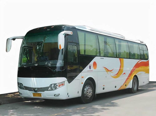 國慶租車首選泰州中航租車，專業服務助力便捷出行